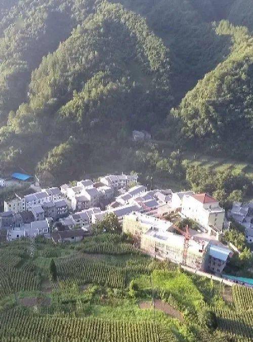 消夏养生丨河鱼乡第五届农耕文化旅游节开幕