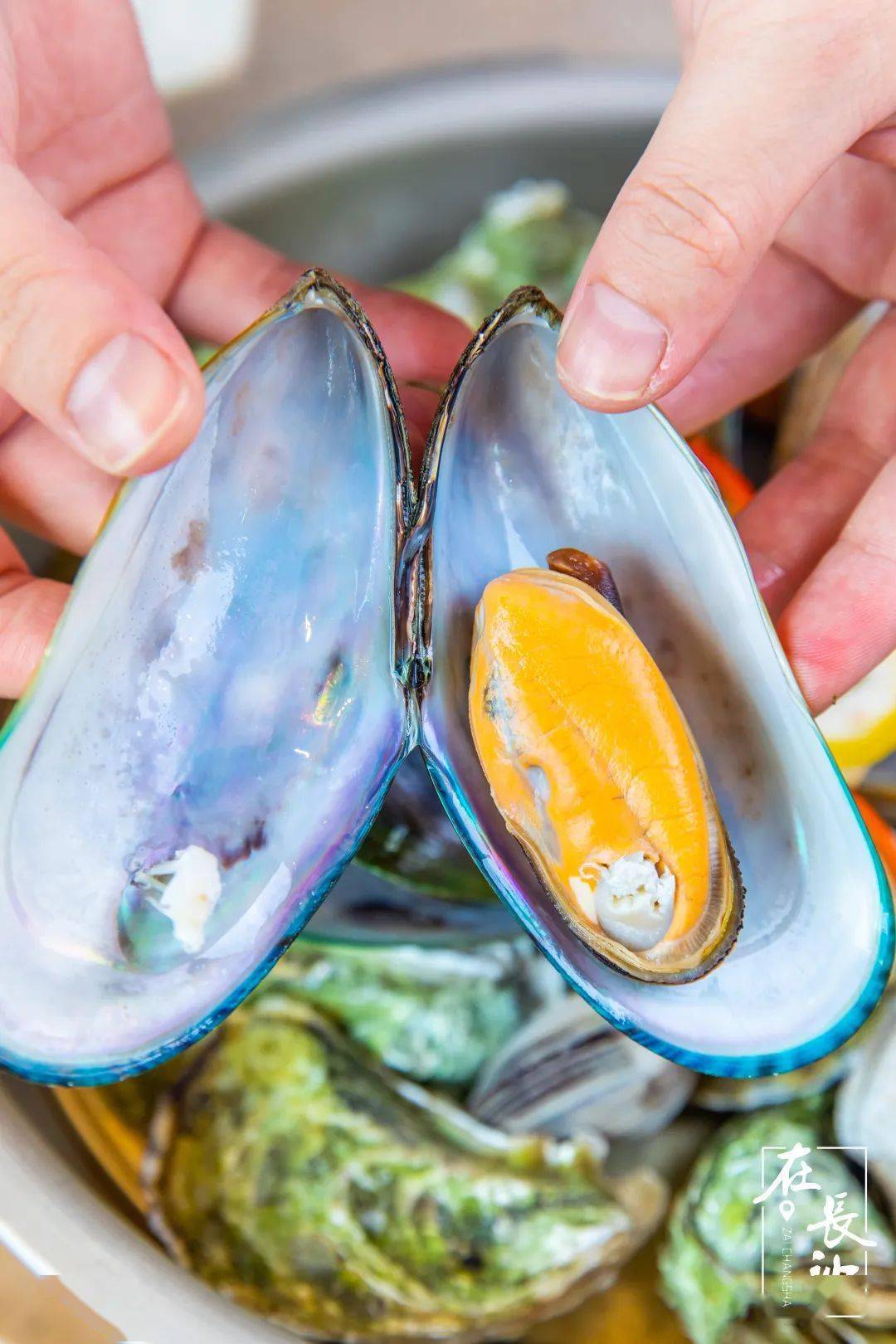 长沙|是什么来头?开业就爆店!惊现长沙海鲜烧烤界的新星之秀