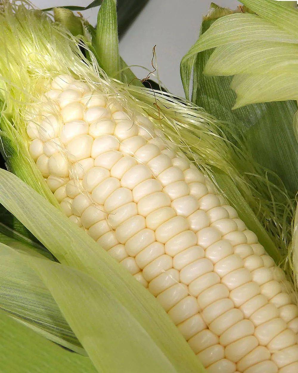 外行|只加水是外行！多放2种料，香甜软糯，鲜美营养，更好吃！煮玉米