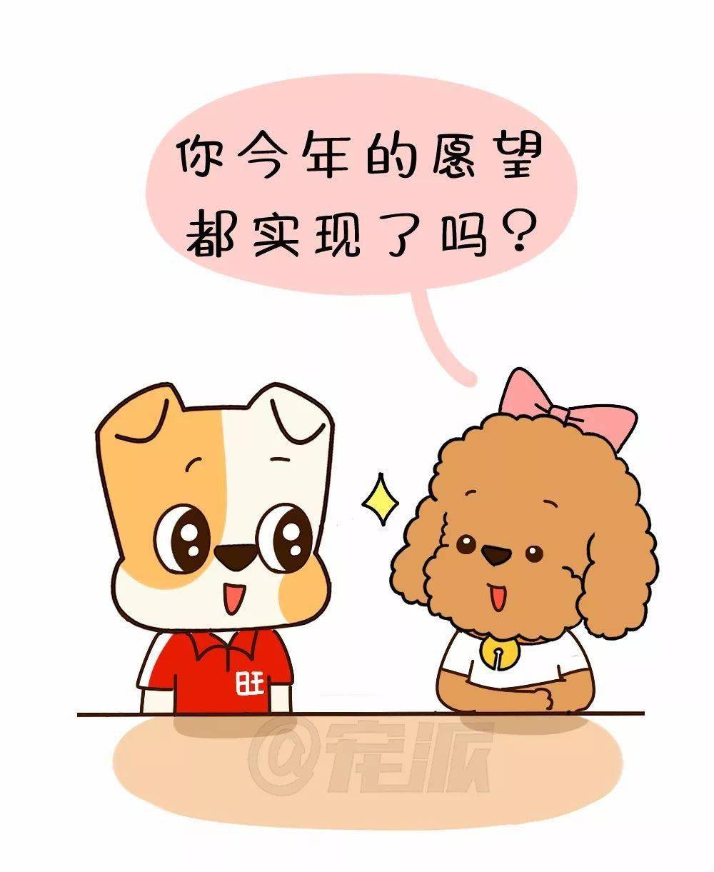 宠派漫画 | 2020已过半,你的愿望实现了吗?