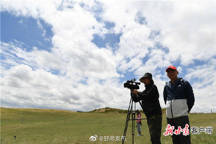 玛曲|图说玛曲治沙故事