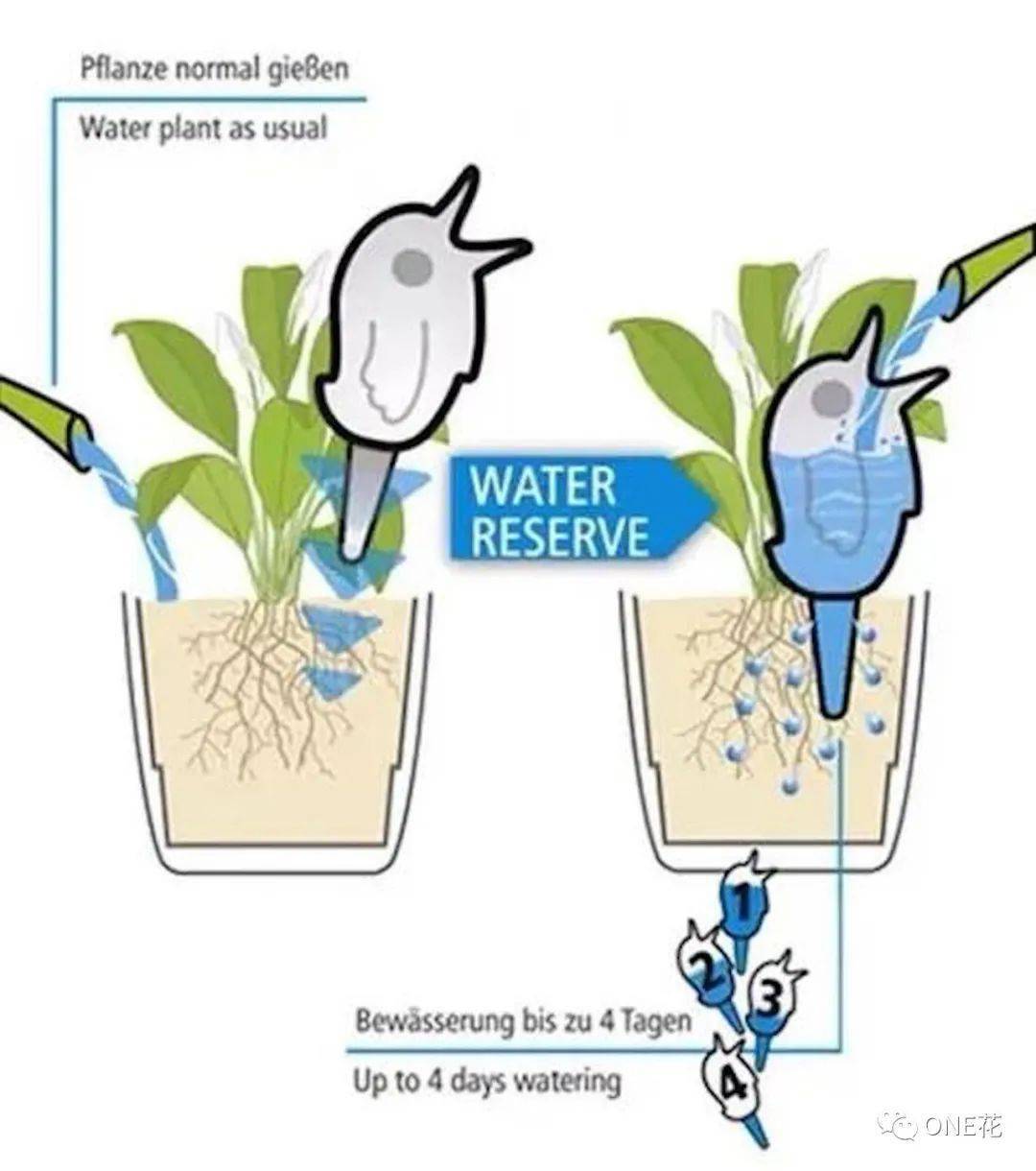 用什么方法可以养手 37735eb3fa014a37a6711fa4b3a6725f.jpeg