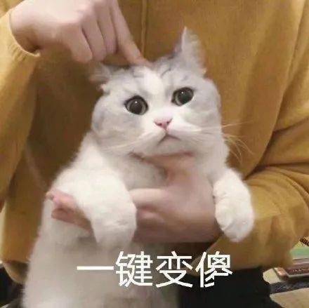 闲置|伊能静卖“原味”T被追着骂？扒完她的土味闲鱼，我却黑不动了……