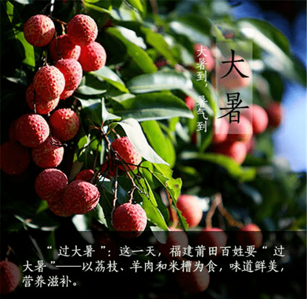饮伏茶从古至今,民间都有大暑三伏天饮伏茶的习俗,伏茶,顾名思义,是三