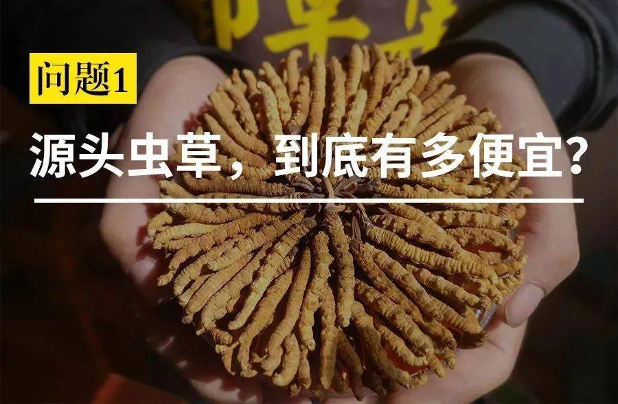 长期吃虫草胶囊好不好