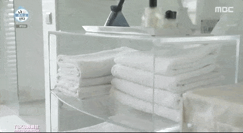 中韩|顶流男神58亿独居豪宅大曝光，中韩网友全傻眼：猫也有独卫？！