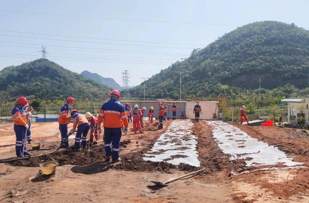 员工|到华新“开心农场”采摘去！大暑