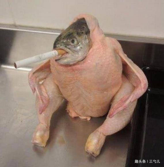 搞笑动态趣图gif:河马一双囧囧有神的大眼睛