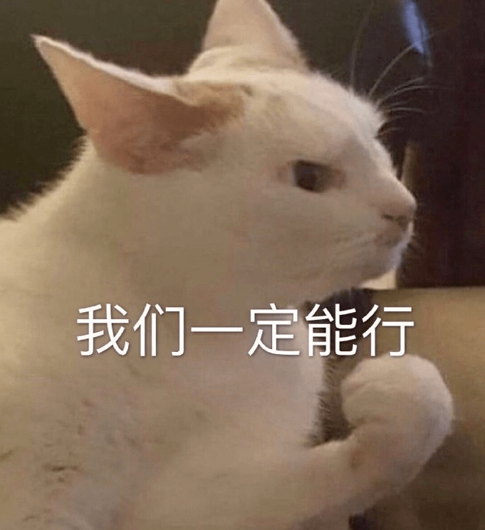 表情包今天我也是一只棒棒的小猫咪 猫猫