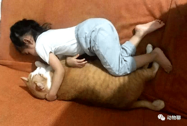 女子养了只小猫陪女儿长大，一年后再同框时：大橘真是名不虚传