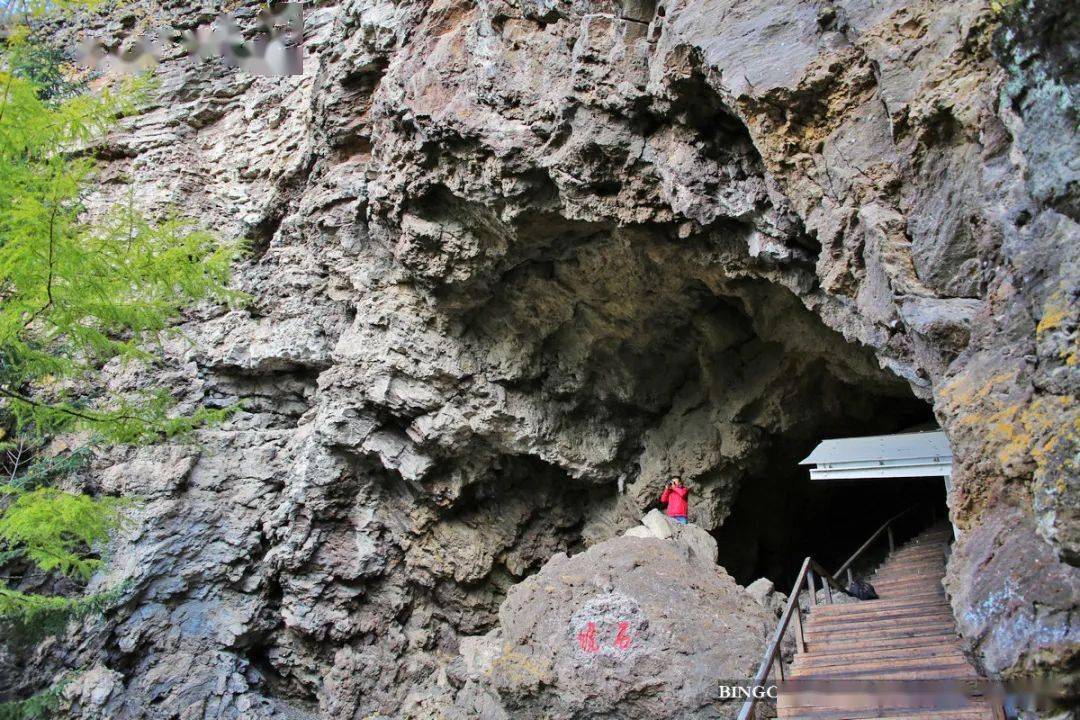 走进罕见的火山口地下森林,来一次夏日避暑惬意行