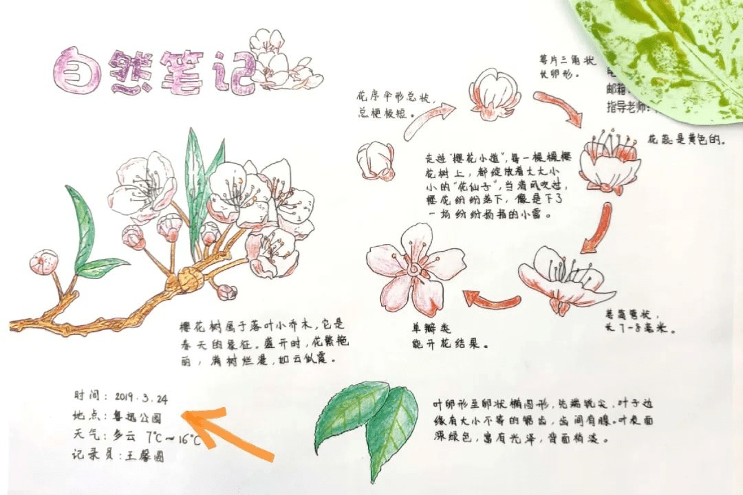 【活动招募令】第四届浙江省中小学生自然笔记大赛启动啦!快来参赛吧!