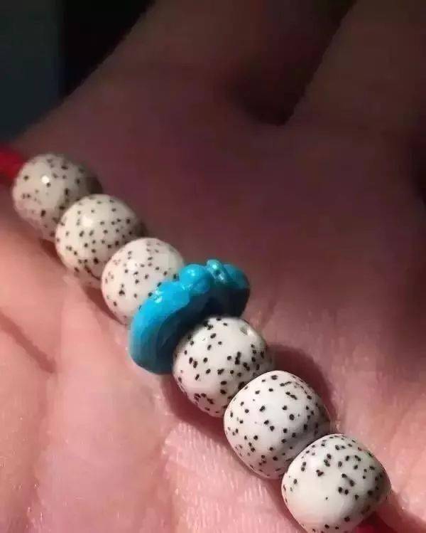 要点|菩提搭它，惊艳！