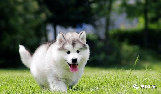 456b25fa686641bc9bc633f10f5f07a8.png
