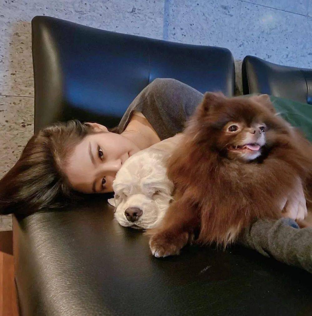 微信头像金智妮jennie