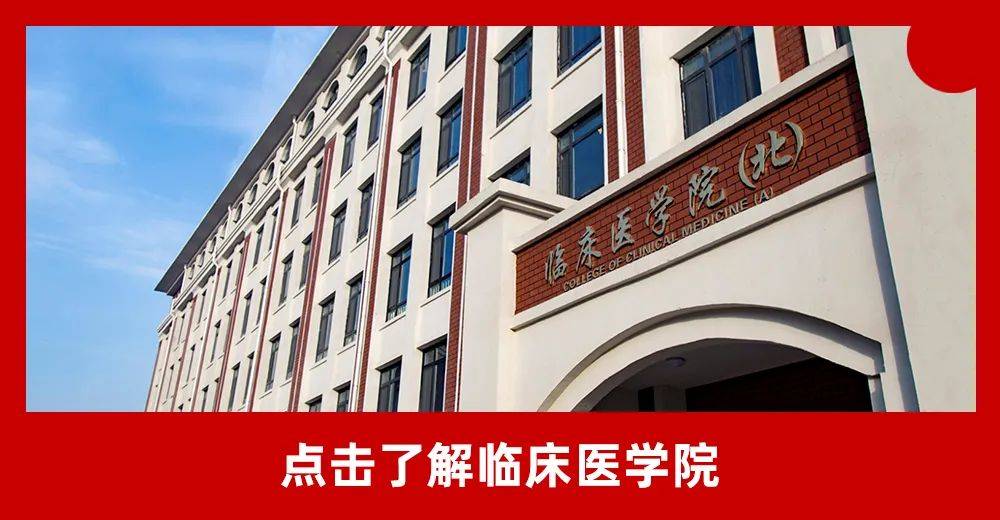 齐鲁|招生季 | 齐鲁医药学院“拍了拍”你招生简章了解一下