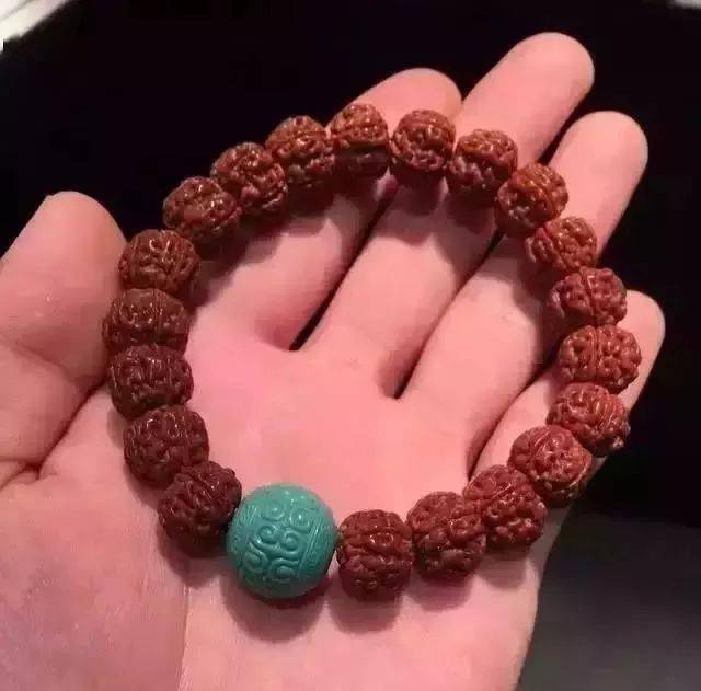 要点|菩提搭它，惊艳！