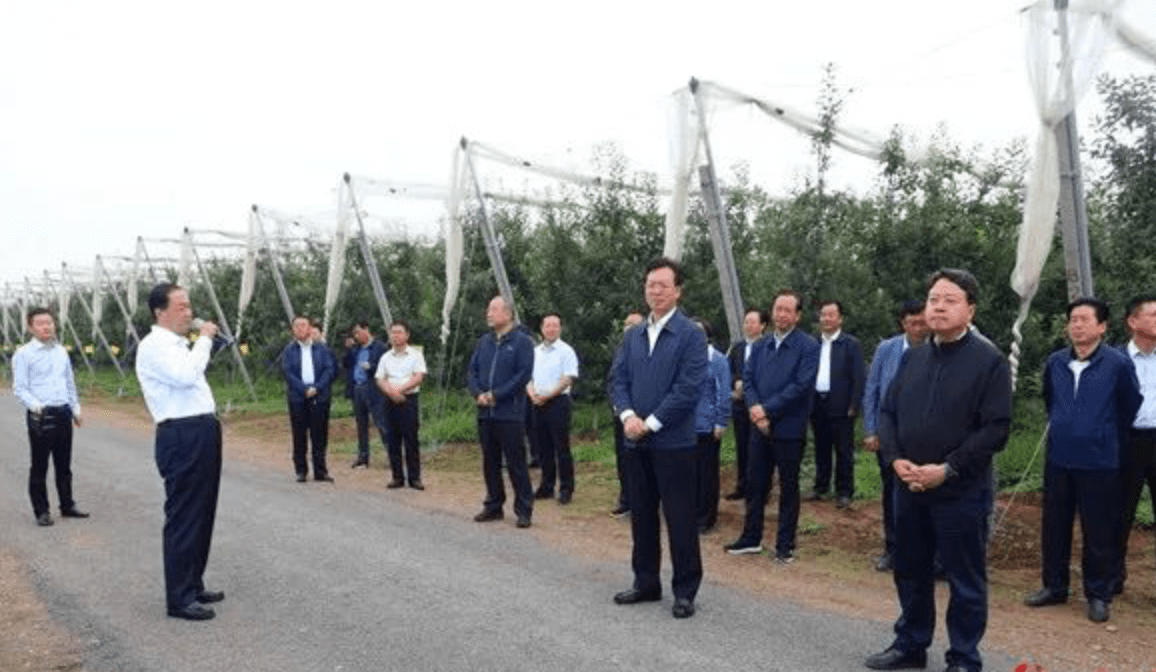 贠建民卢小亨率团在宁县观摩苹果产业发展情况