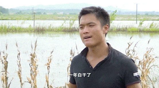 游子|汛情紧急！两封“家书”，近7000游子无畏逆行！为这样的长江“后浪”点赞→