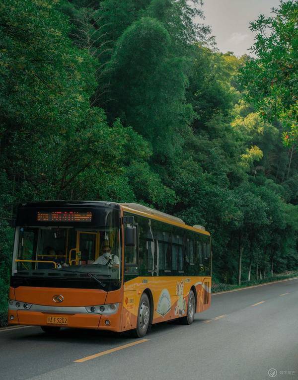 画面|夏季少女 · 橘