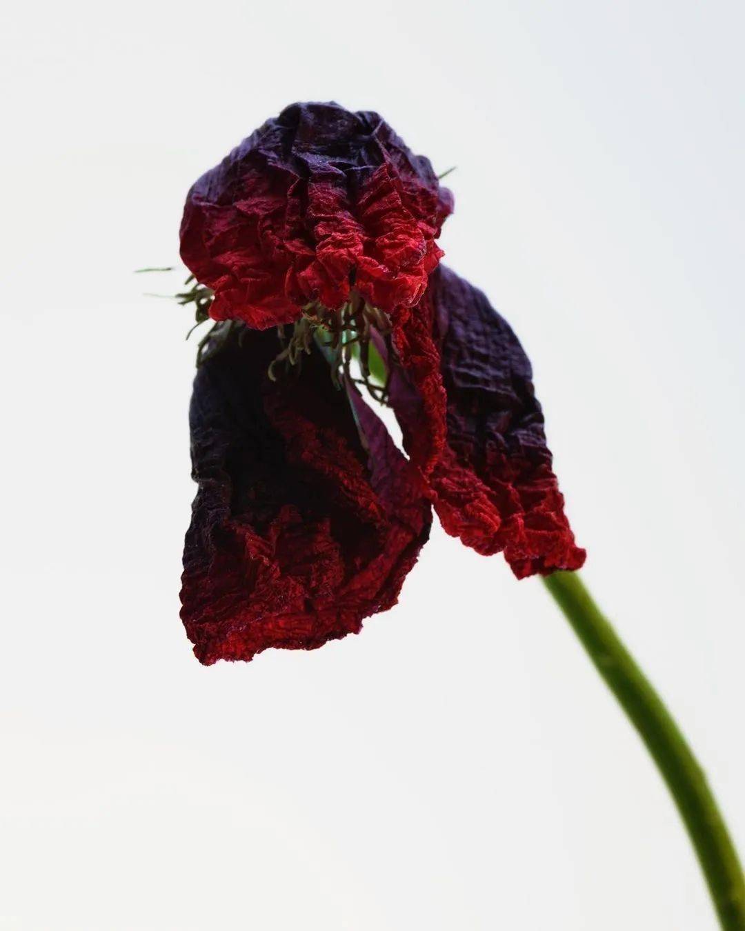 tag|安特卫普&加勒比文化哪个tag更具吸引力？反时尚的不羁操作非Botter双璧莫属