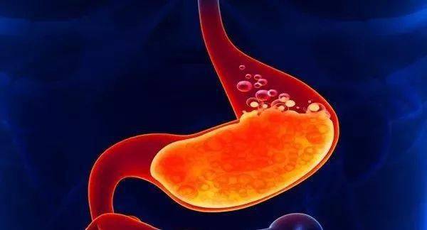 空腹吃活菌会怎么样