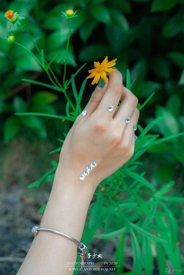 画面|夏季少女 · 橘