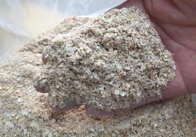 饵料|加点蚯蚓土，比买的饵料更好用自制饼饵全过程解密