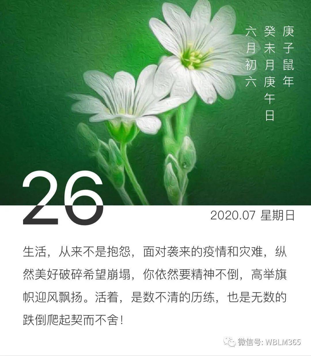 晚安.励志人生日历:自己是一切的根源!想改变一定得靠自己!