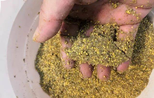 饵料|加点蚯蚓土，比买的饵料更好用自制饼饵全过程解密