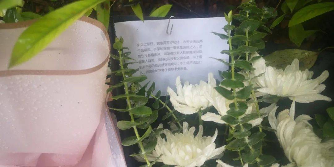前妻|杭州杀妻嫌犯前妻闺蜜之女死亡旧案已提请警方重新调查