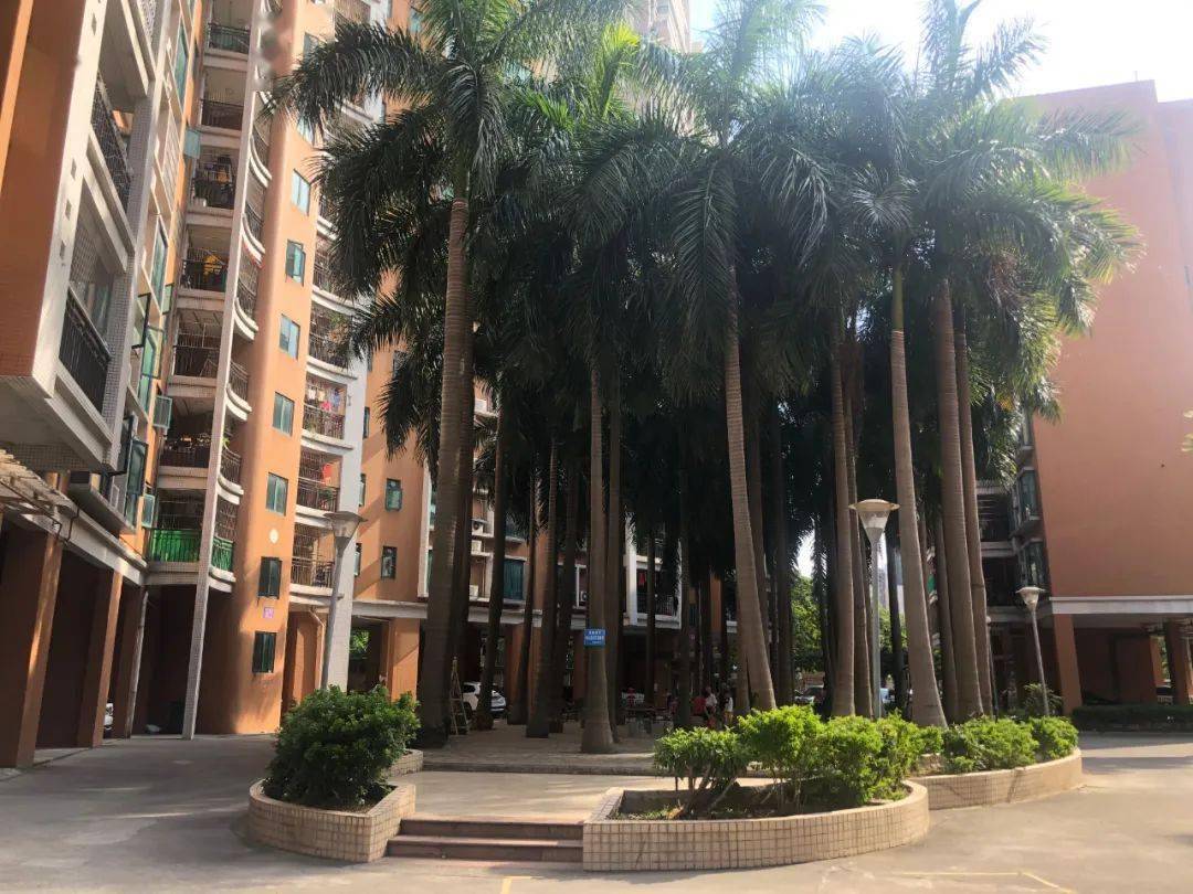 小区|痛心！四会某小区一幼儿不慎从七楼窗户坠下，家长们引起重视！