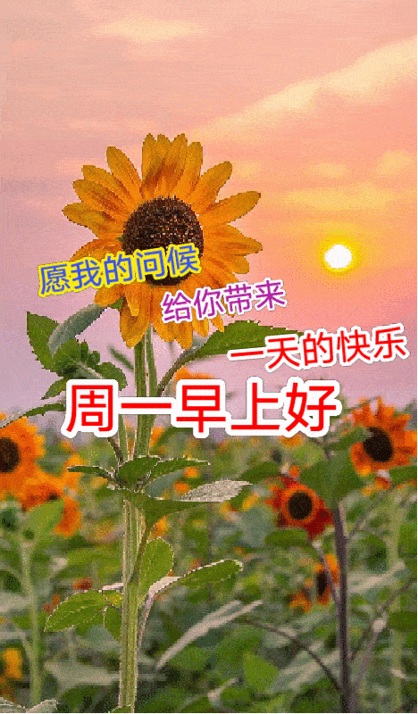 7月27日周一清晨早上好问候祝福动态表情图片 7月最新
