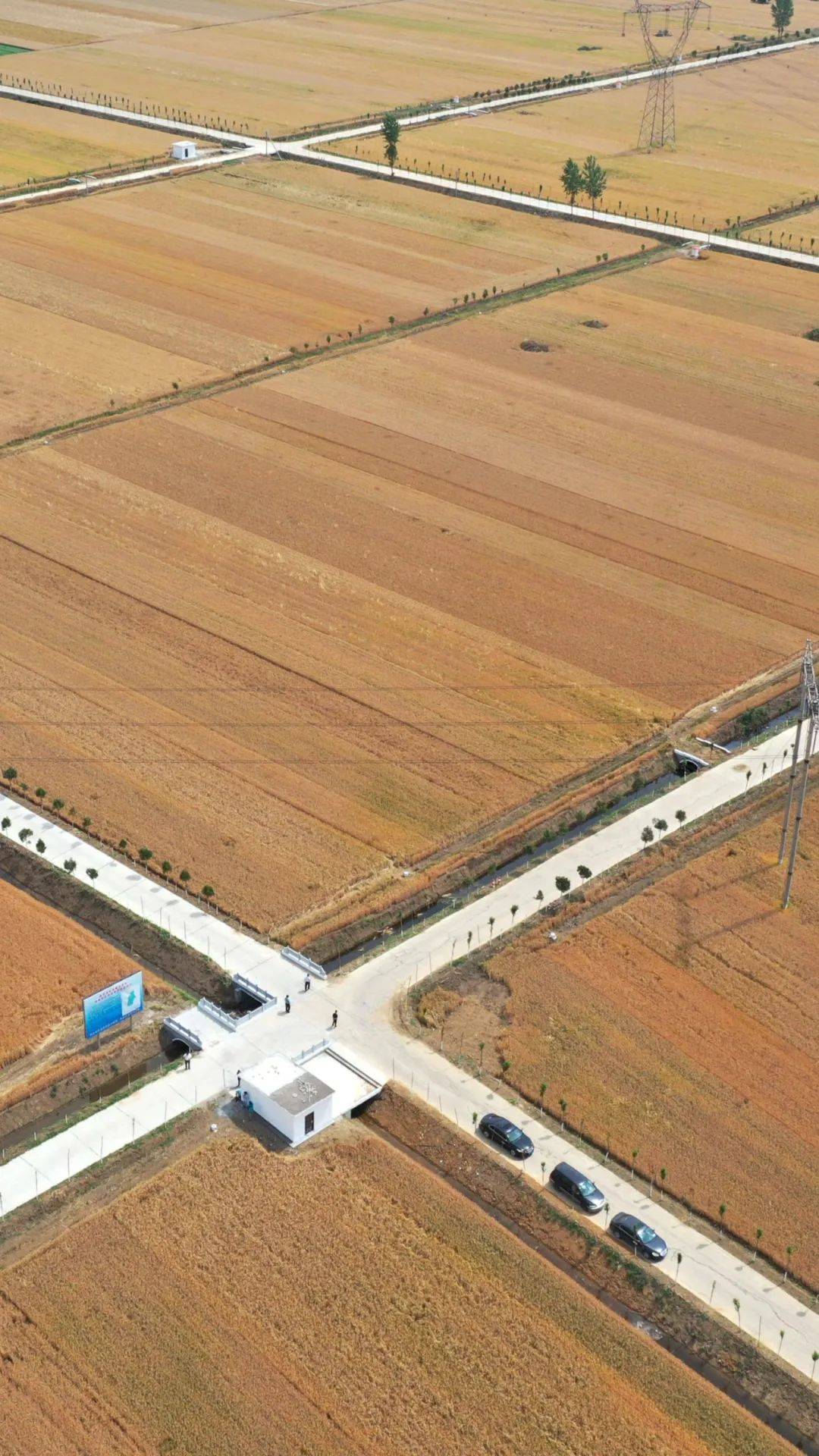 农田|地还是那些地，夏粮为何屡创新高？卫星发现一个秘密