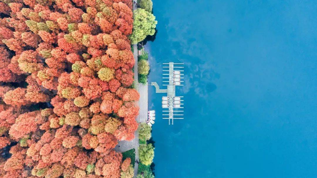 兄弟|苏轼与苏辙：史上最好的兄弟，至今仍是人间典范