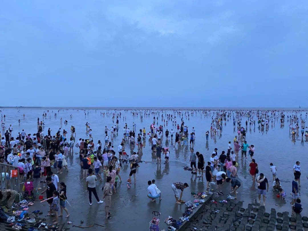 在奉贤,有一种夏天叫"渔人码头!海边挖沙戏水乐趣多