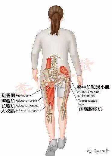 骨盆不正一堆疑难杂症