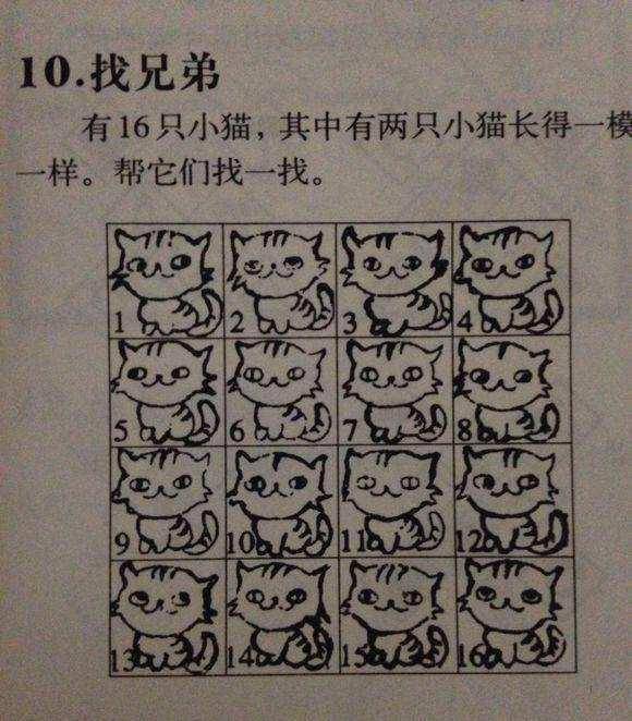 有16只小猫,其中有两只长得一模一样,你能在图中找出来吗?