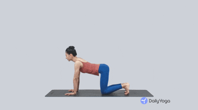 660fd8206378409c8f9f256b221fd8d8.gif