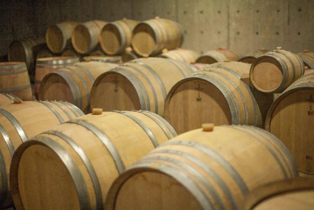 爱德华王子|听说了吗？好吃的东西都是0卡路里！