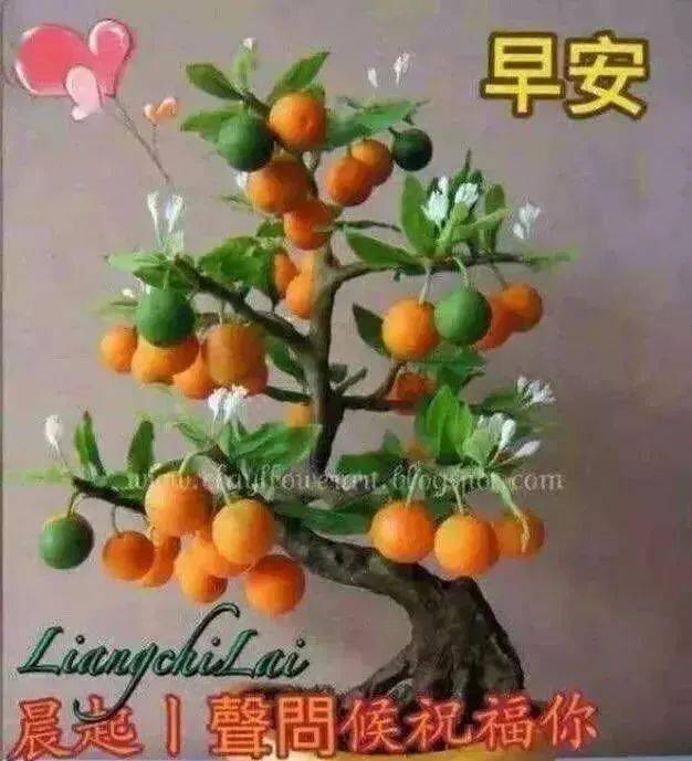 夏季早上好慰问朋友的甜蜜问候语 最阳光的早安图片带