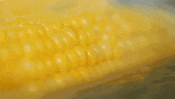 功效|它有6大功效，能为你省下不少买药钱！煮玉米的水不要倒掉了