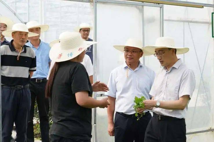 在康博村蔬菜基地,现场了解农业产业发展情况.