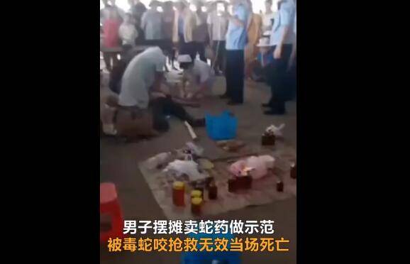 悲剧!男子卖药酒被自带毒蛇咬伤身亡 曾称药酒能治蛇毒