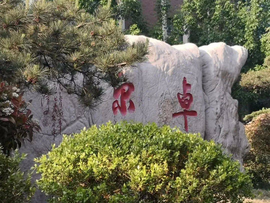 国际学校|重本进线率95.14%！临沂国际学校再创高考佳绩！好学校都是用实力说话的！