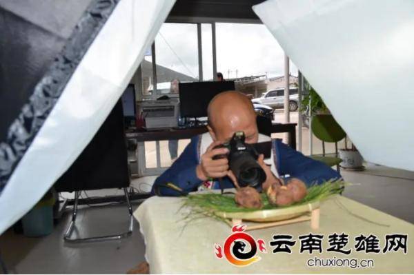 罗旺军|楚雄南华：返乡创业开网店 他把农产品电商做火了