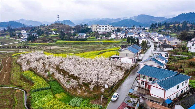 遵义市播州区枫香镇花茂村风貌