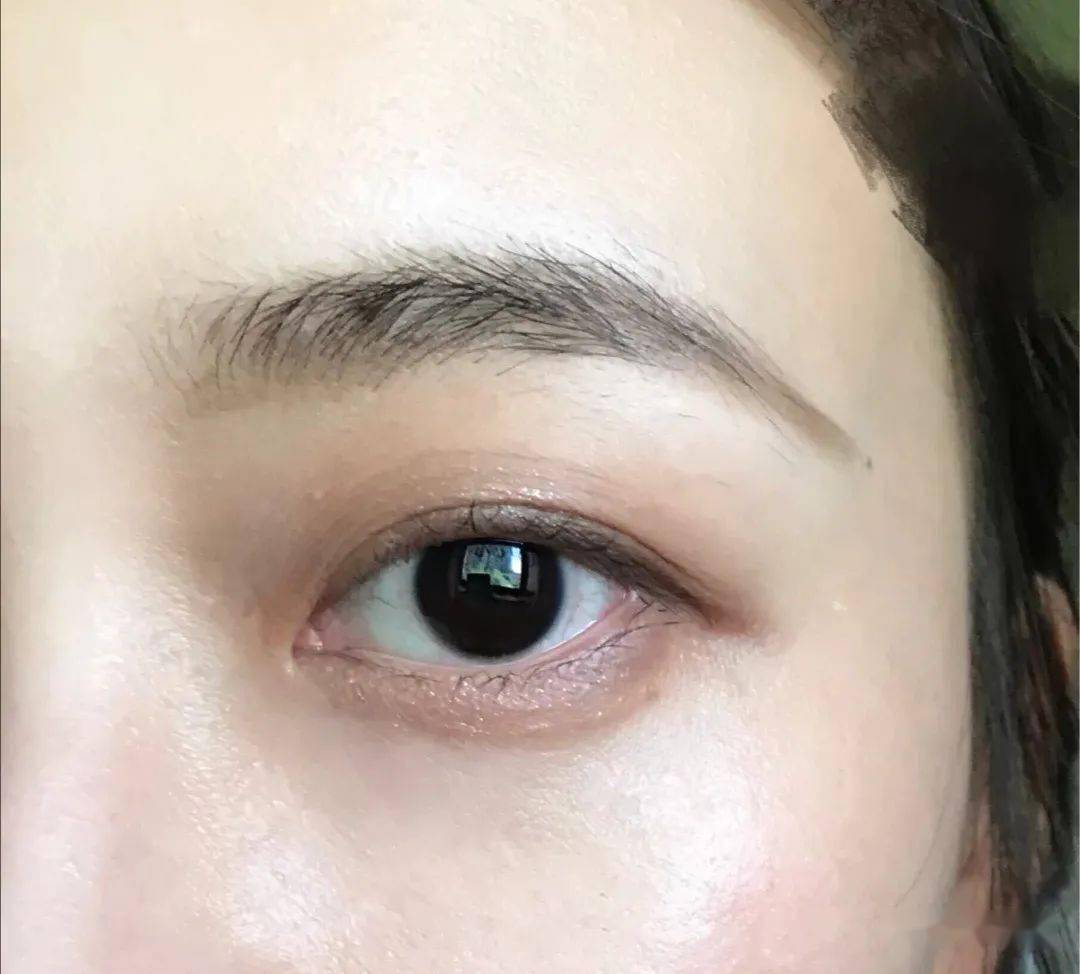 日记|完美日记，你个小辣鸡