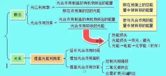 人口增长对动物好处_高一地理人口增长导图(2)