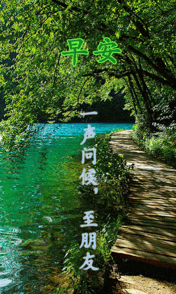 特别漂亮的早上好问候祝福语图片 最新问候早上好问候表情图片动态